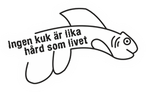 Ingen kuk är lika hård som livet